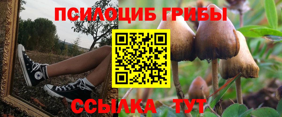 Галлюциногенные грибы мицелий Кузнецк